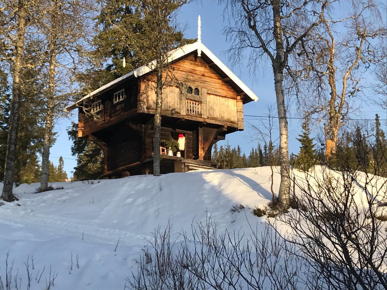 Hoyfjellshotel *