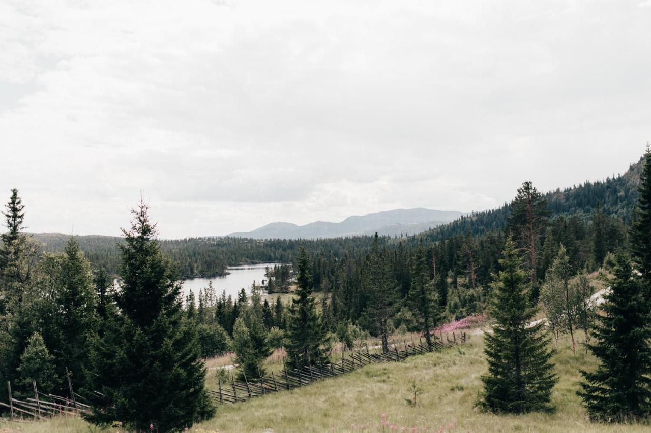 Отель Hoyfjellshotel *